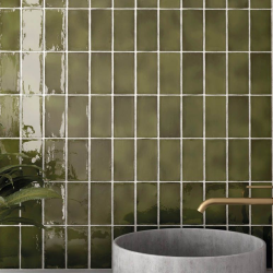 Плитка Equipe Manacor 26918 Basil Green 10x10