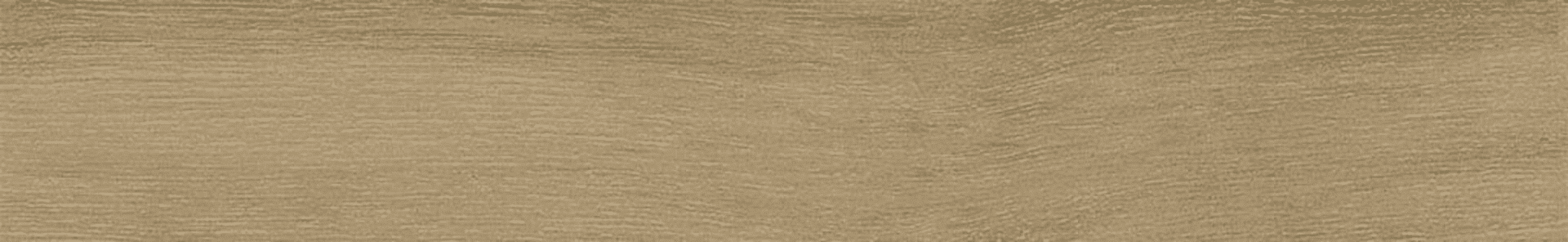 Керамогранит Ribesalbes Bremen Sherwood 10x60