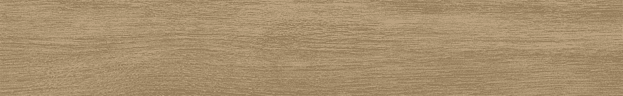 Керамогранит Ribesalbes Bremen Sherwood 10x60