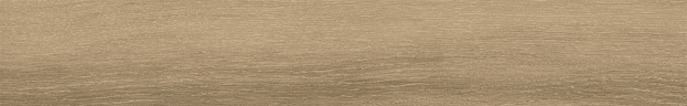 Керамогранит Ribesalbes Bremen Sherwood 10x60