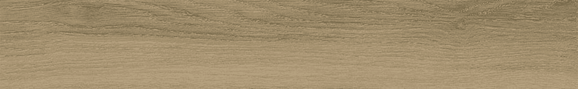 Керамогранит Ribesalbes Bremen Sherwood 10x60