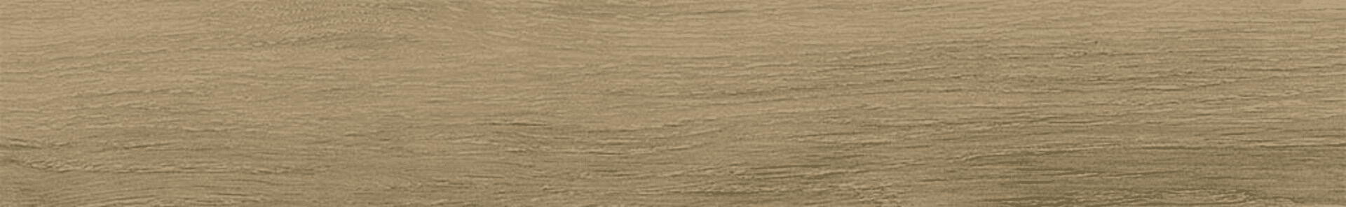 Керамогранит Ribesalbes Bremen Sherwood 10x60