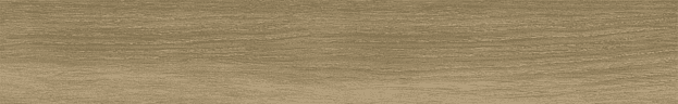Керамогранит Ribesalbes Bremen Sherwood 10x60