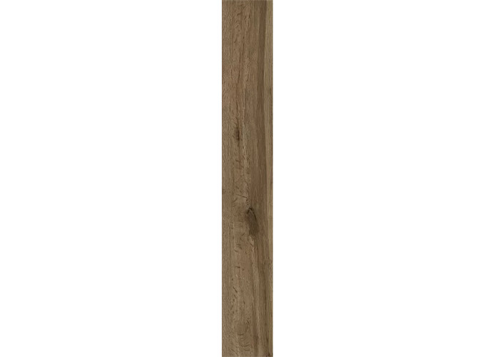 Керамогранит Ragno Marazzi 00R06Q13 Woodglam Tortora 10x70