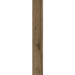 Керамогранит Ragno Marazzi 00R06Q13 Woodglam Tortora 10x70