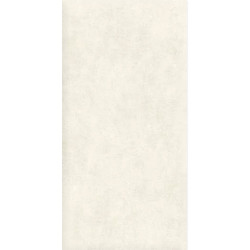 Керамогранит Alma Ceramica GFU60120BLN04R Berlin 60x120 