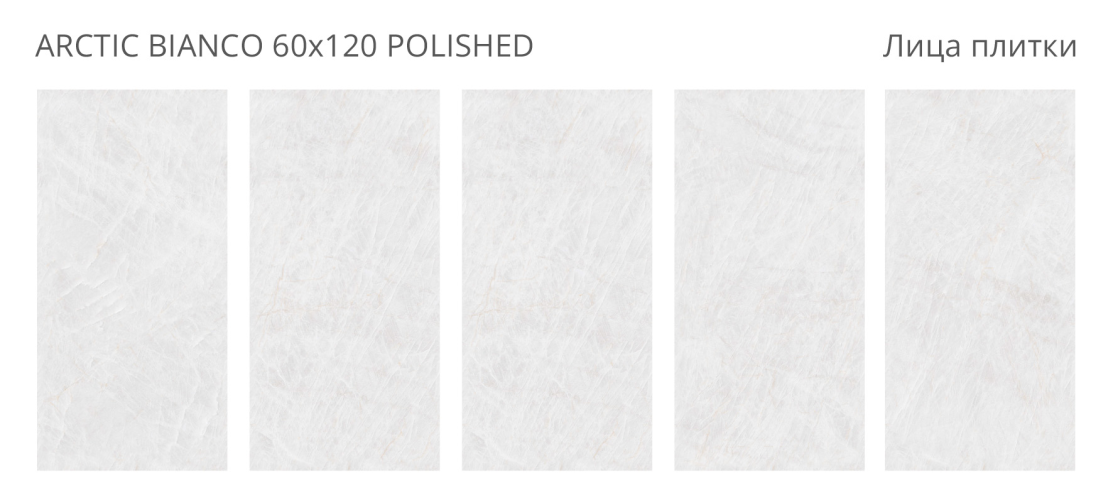 Керамогранит Staro Palacio Arctic Bianco Polished 60x120