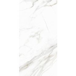 Керамогранит Delacora D120210M Calacatta Andrea 60x120
