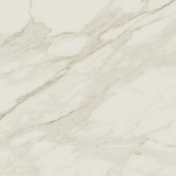 Керамогранит Atlas Concorde Russia 610010002190 Empire Arabescato 60x60