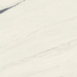 Керамогранит Atlas Concorde Russia 610010002717 Forte dei Marmi Panda White Rett 80x80