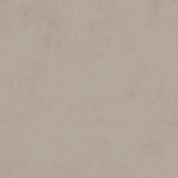 Керамогранит Atlas Concorde Russia 610010002640 Rinascente Clay Rect R9 80x160