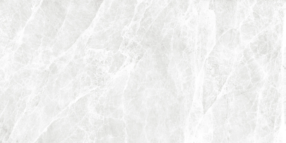 Керамогранит Duna RP-238275 Worner White Sugar 60x120