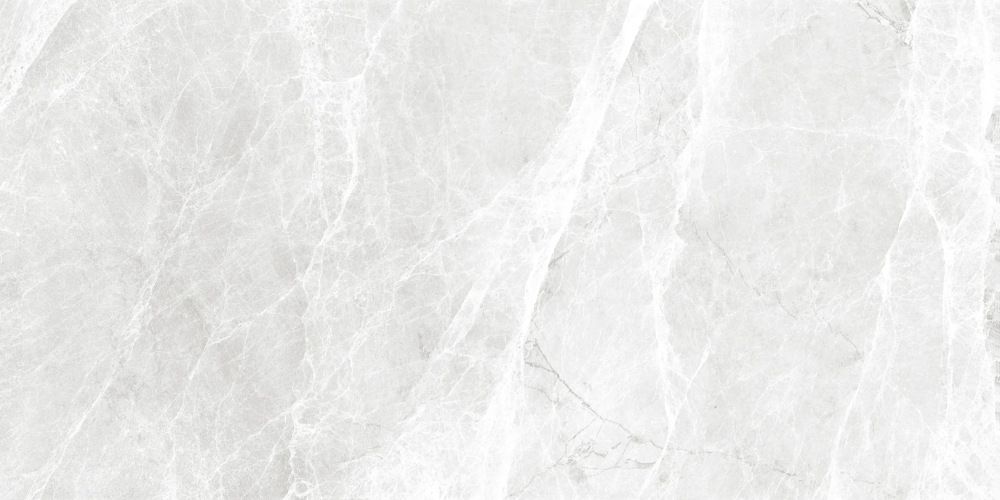 Керамогранит Duna RP-238275 Worner White Sugar 60x120