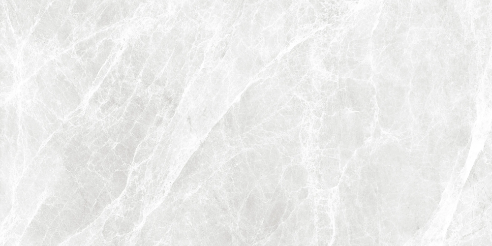 Керамогранит Duna RP-238275 Worner White Sugar 60x120