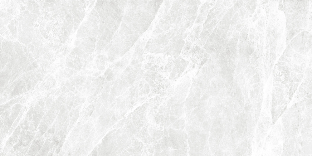 Керамогранит Duna RP-238275 Worner White Sugar 60x120