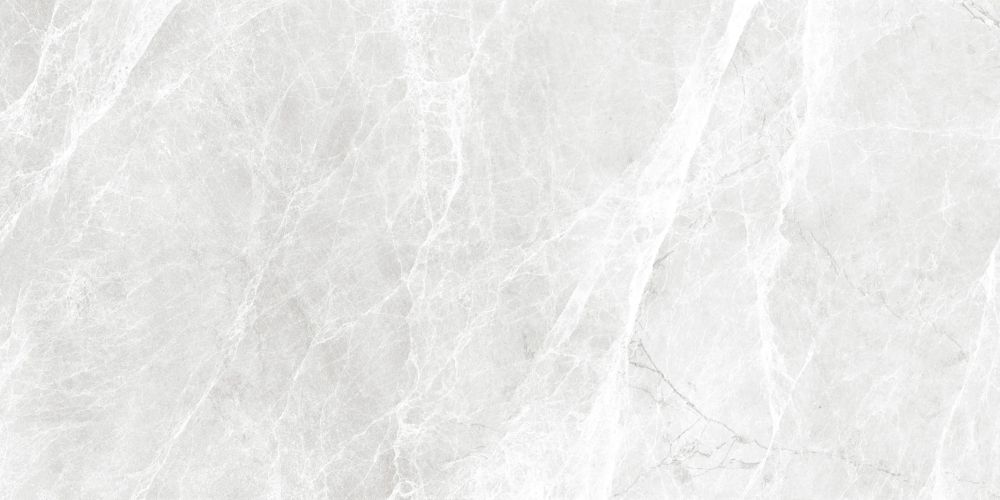 Керамогранит Duna RP-238275 Worner White Sugar 60x120