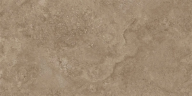 Керамогранит NT Ceramic NTTVL99959D Axion Feron Taupe 60x120