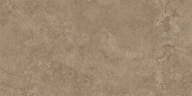 Керамогранит NT Ceramic NTTVL99959D Axion Feron Taupe 60x120
