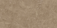 Керамогранит NT Ceramic NTTVL99959D Axion Feron Taupe 60x120