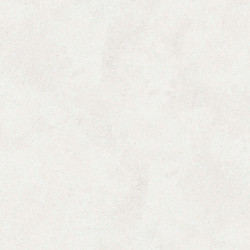 Керамогранит Buono Ceramica EVL4802M Emma Fiore Base matt 60x120