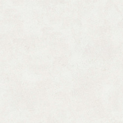 Керамогранит Buono Ceramica EVL4802M Emma Fiore Base matt 60x120