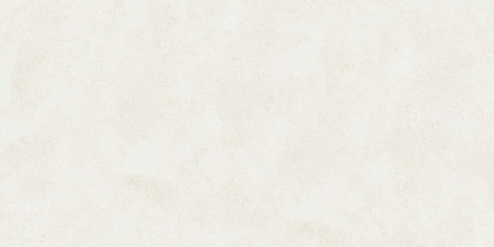 Керамогранит Buono Ceramica EVL4802M Emma Fiore Base matt 60x120