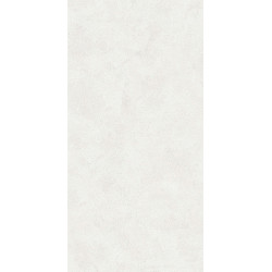 Керамогранит Buono Ceramica EVL4802M Emma Fiore Base matt 60x120