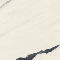 Керамогранит Atlas Concorde Russia 610015000648 Forte dei Marmi Panda White Lapp 80x80