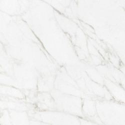 Керамогранит Neodom N12045 Luxury Carrara Giaola Polished 60x120