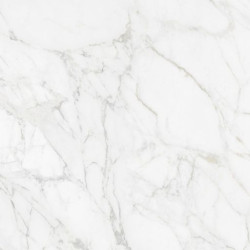 Керамогранит Neodom N12045 Luxury Carrara Giaola Polished 60x120
