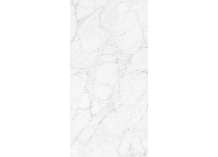 Керамогранит Neodom N12045 Luxury Carrara Giaola Polished 60x120