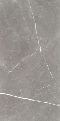 Керамогранит Global Tile Encanto GT120603001SPR Серый 60x120