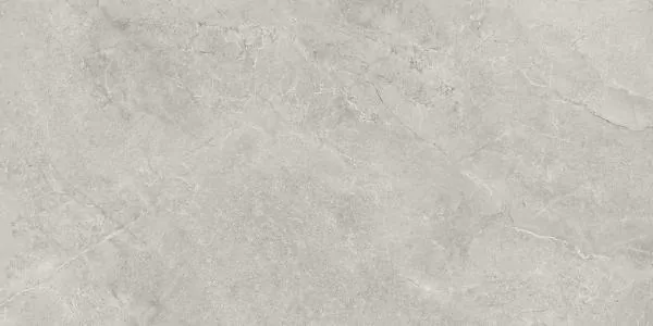 Керамогранит Laparet SG50005220R Pluto Silver Светло-Серый 60х119.5