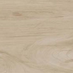 Керамогранит Prissmacer Alessandria Bone 19.5x120 