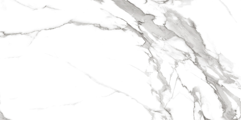 Керамогранит Royce Segesta Grey Polished R_PR2004 60x120