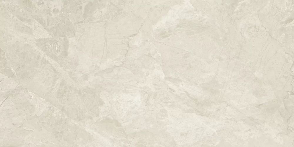 Керамогранит Baldocer Canyon Bone Rect 60x120