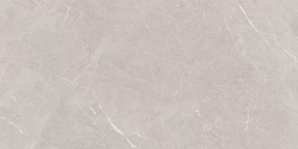 Керамогранит Ceradim х9999304523 Stone Sovereign Серый Матовый 60х120