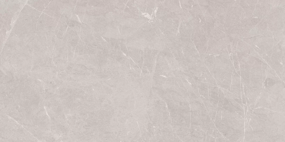 Керамогранит Ceradim х9999304523 Stone Sovereign Серый Матовый 60х120