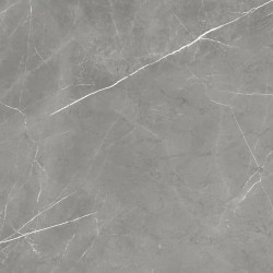 Керамогранит Atlas Concorde Russia 610015000657 Forte dei Marmi Elegant Grey Rett Cer 60x120