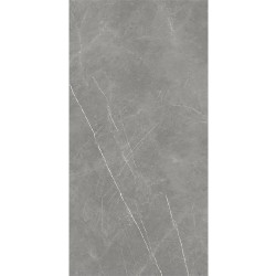 Керамогранит Atlas Concorde Russia 610015000657 Forte dei Marmi Elegant Grey Rett Cer 60x120