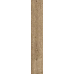 Керамогранит Atlas Concorde Russia 610010003131 Fusion Oak/Фьюжн Оак Голден 20x120 Рет