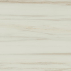 Керамогранит Atlas Concorde Russia 610010002192 Empire Lasa 60x60