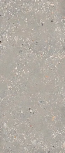 Керамогранитa Sant Agostino CSACOCE227 Extra Logico Cosmo Cement Nat 120x278