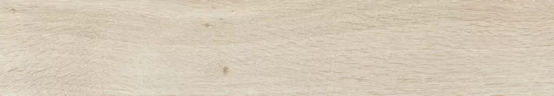 Керамогранит Prissmacer Ingalls Arce 10x60