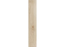 Керамогранит Prissmacer Ingalls Arce 10x60