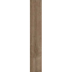 Керамогранит Atlas Concorde Russia 610010003132 Fusion Oak/Фьюжн Оак Рустик 20x120 Рет