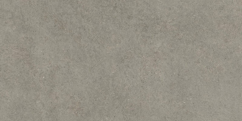 Керамогранит Atlas Concorde Russia 610010005813 Forte dei Marmi Rock Lunar Grey Matt Rett 80x160