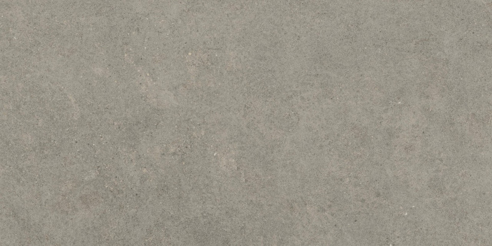 Керамогранит Atlas Concorde Russia 610010005813 Forte dei Marmi Rock Lunar Grey Matt Rett 80x160