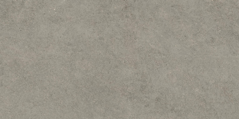 Керамогранит Atlas Concorde Russia 610010005813 Forte dei Marmi Rock Lunar Grey Matt Rett 80x160