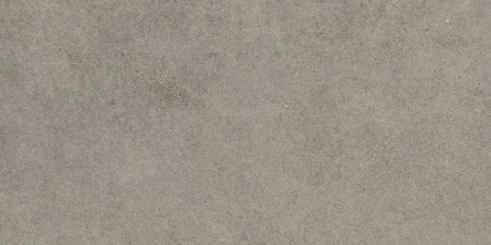 Керамогранит Atlas Concorde Russia 610010005813 Forte dei Marmi Rock Lunar Grey Matt Rett 80x160